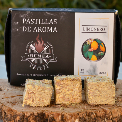 Pastillas Barbacoa de Ahumado